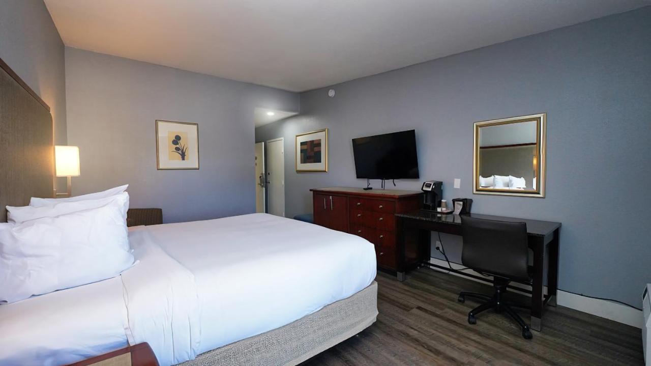 King Room,1469872949:JPEG
